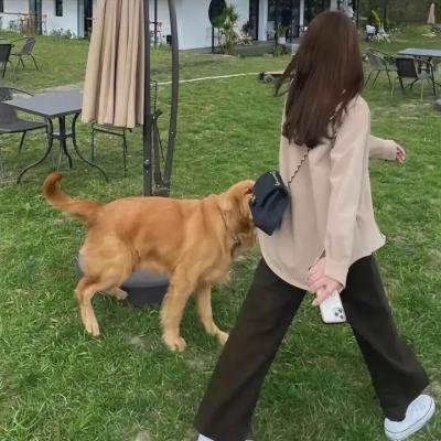 哈瓦那组曲